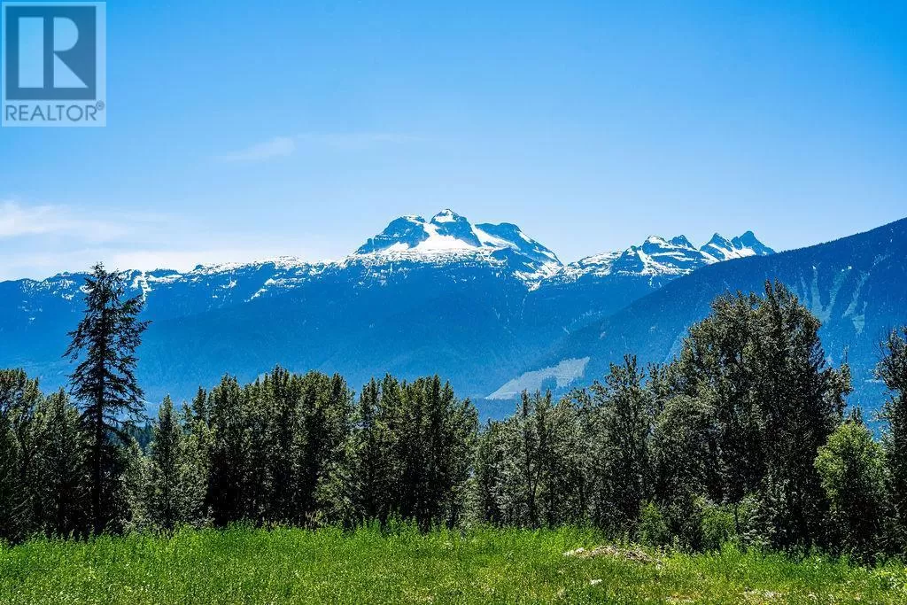 Other for rent: 1 Proposed Lot #1 150 Townley Street, Revelstoke, British Columbia V0E 2S0