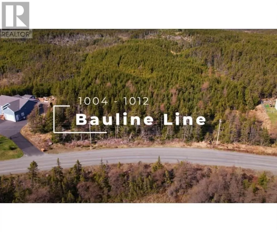 1004-1008 Bauline (parcel A) Line, Bauline, Newfoundland & Labrador A1K 1E7