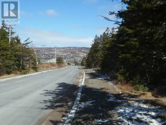 143-163 High Road S, Carbonear, Newfoundland & Labrador A1Y 1A4