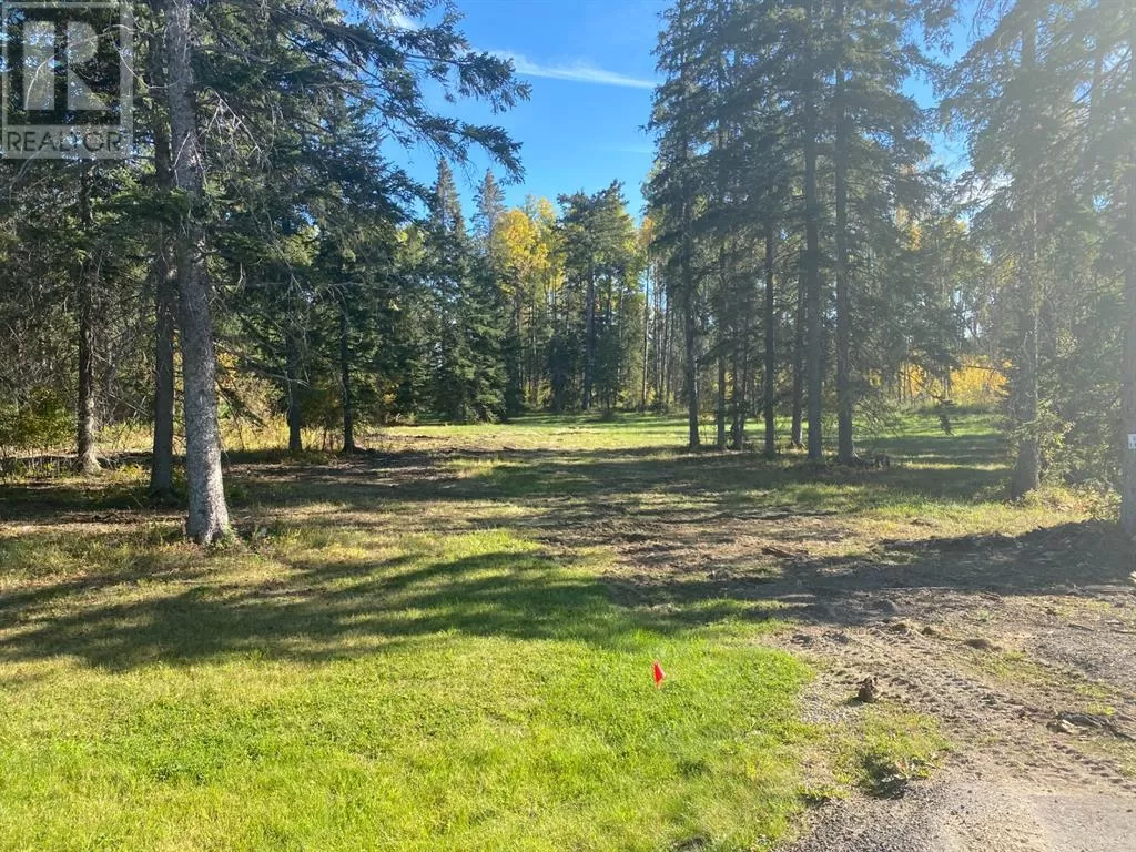 202 High Timber Place, Rural Clearwater County, Alberta T4T 1A7