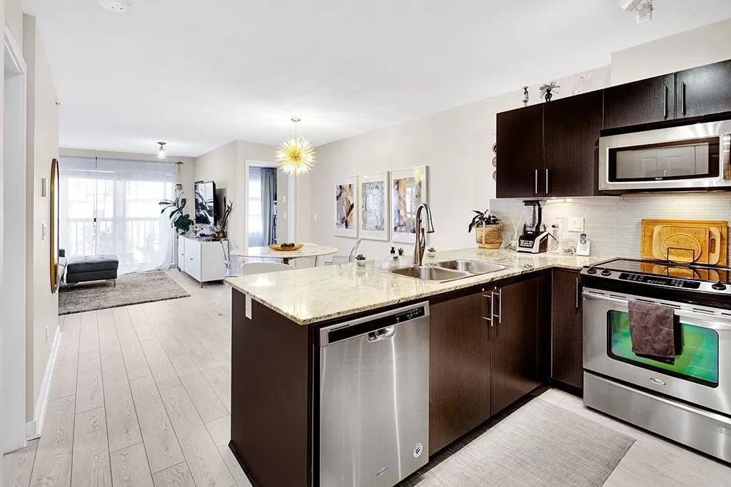 Apartment for rent: 421 8915 202 Street, Langley, British Columbia V1M 0B5