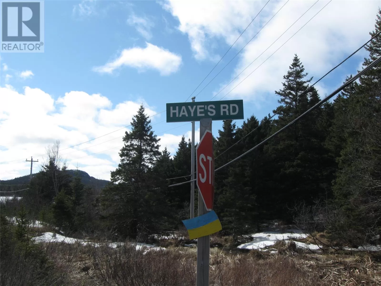 8-14 Hayes Road, Harbour Main, Newfoundland & Labrador A0A 2P0