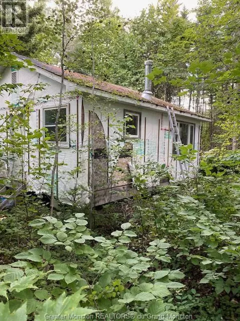 House for rent: Camp Berry Rd, Elgin, New Brunswick E4Z 2R9
