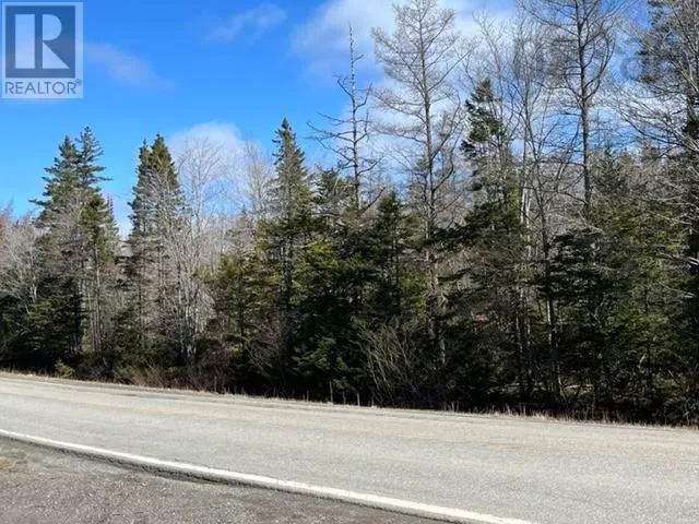 Highway 206, Martinique, Nova Scotia B0E 1K0