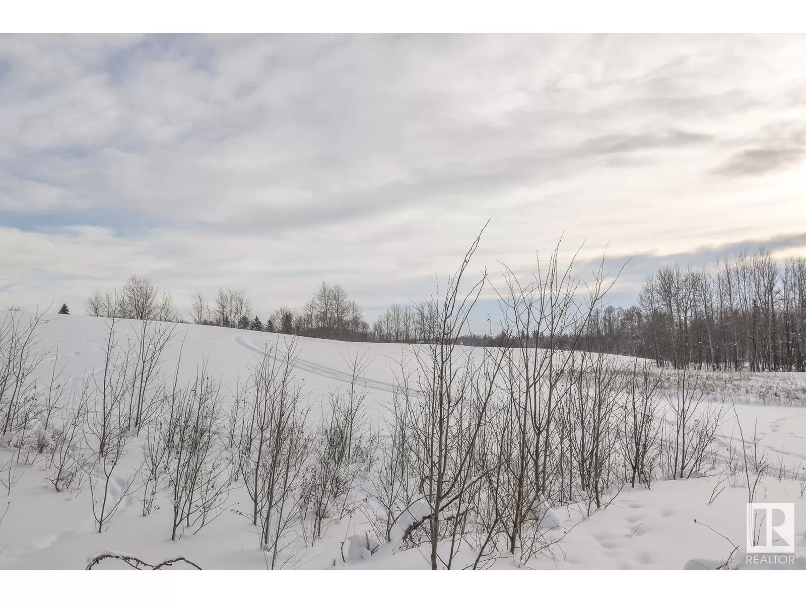 No Building for rent: Hwy 43 And Twp Rd 534, Rural Parkland County, Alberta T0E 0H0