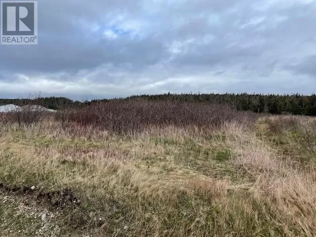 Lot 146 Front Road, PORT AU PORT WEST, Newfoundland & Labrador A0N 1T0