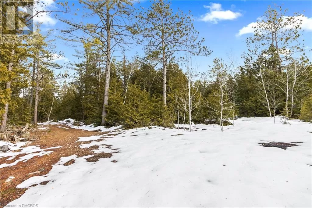 Lot 41 & 42 4 Concession, Northern Bruce Peninsula, Ontario N0H 1Z0