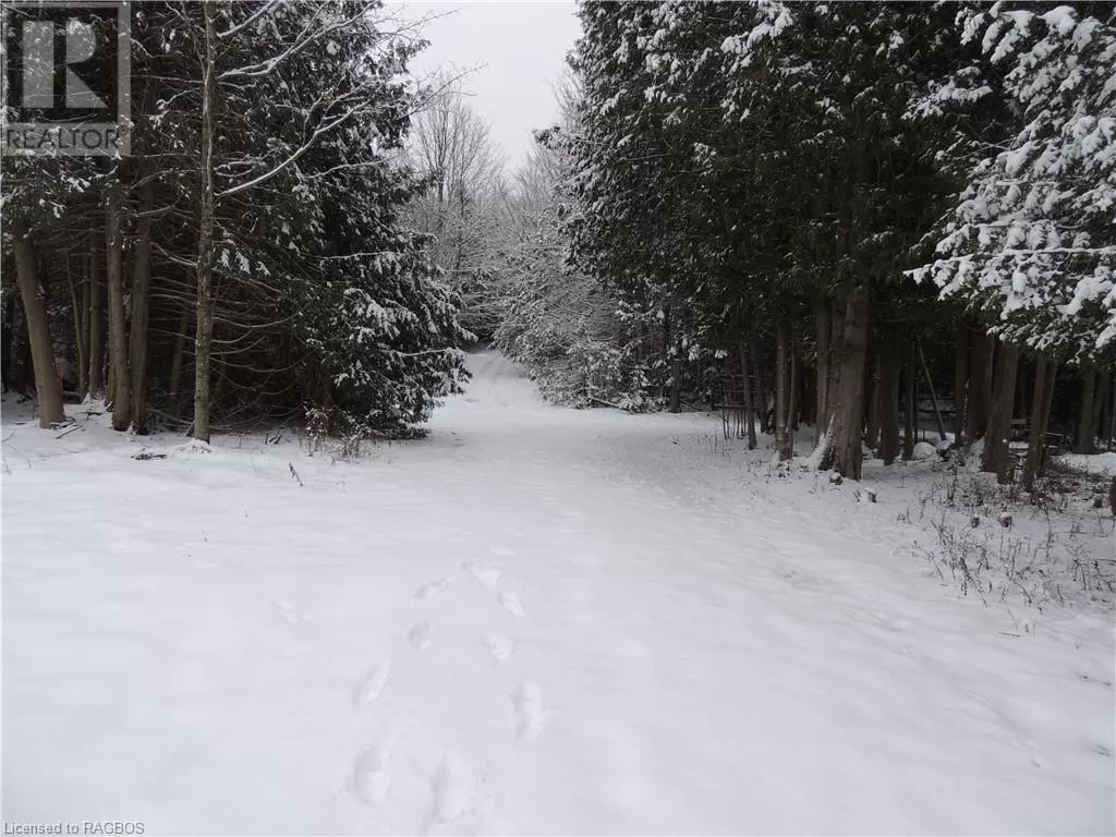 Part Of Lot 13 Penny Lane, Grey Highlands, Ontario N0C 1E0