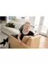 Wendy Midgley,Royal Lepage Nrc Realty