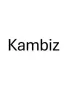Kambiz Hajikolaei,Team 3000 Realty Ltd.
