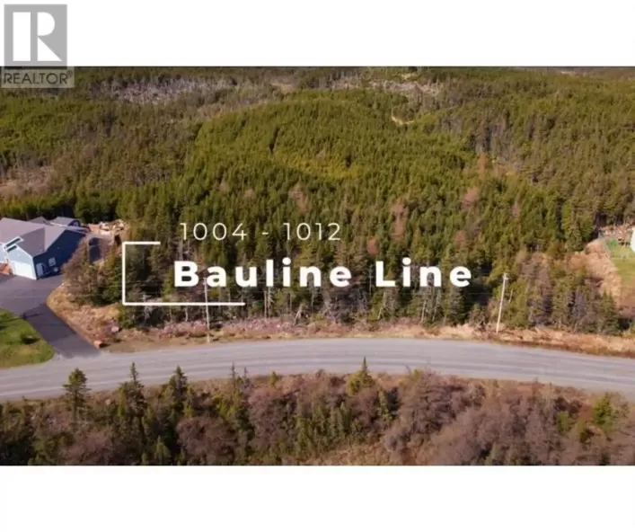 1008-1012 Bauline (PARCEL B) Line, Bauline
