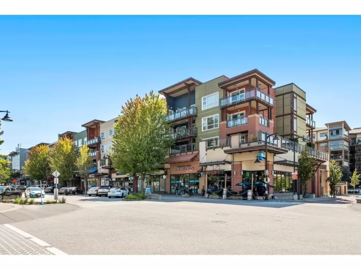 302 20728 WILLOUGHBY TOWN CENTRE DRIVE, Langley