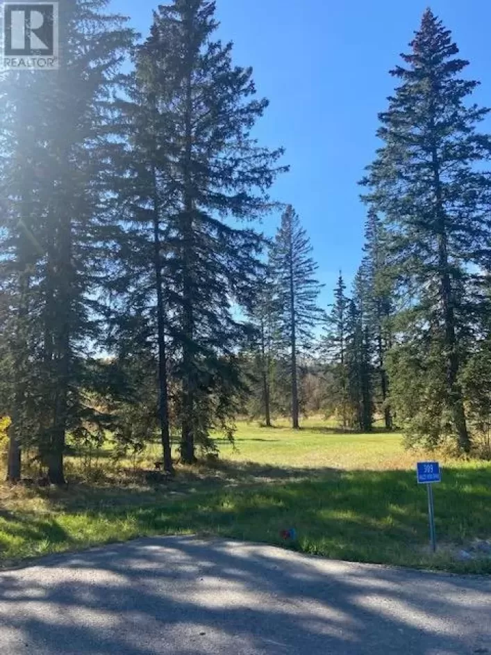 309 Valley View Drive, Rural Clearwater County
