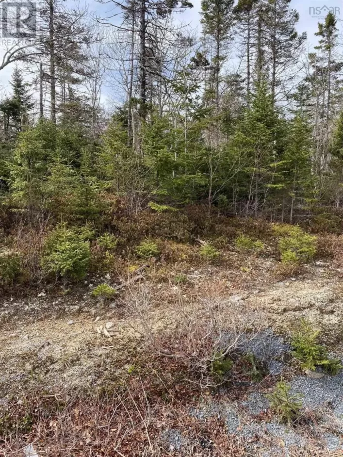 Lot 109 337 Toni Drive, Boutiliers Point