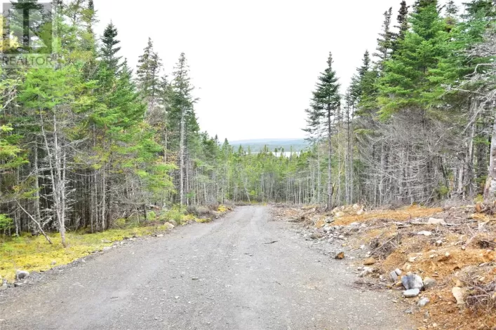 Lot 4 Second Pond Road, Shearstown / Butlerville