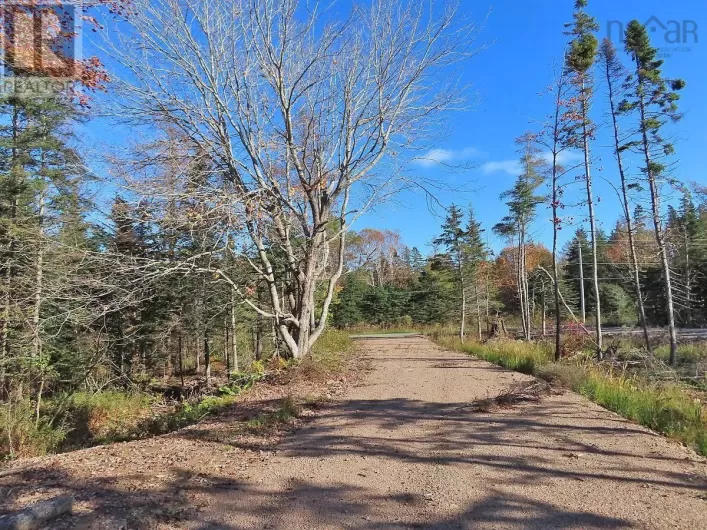 Lot 8 Lower River Road|Highway #4, Cleveland