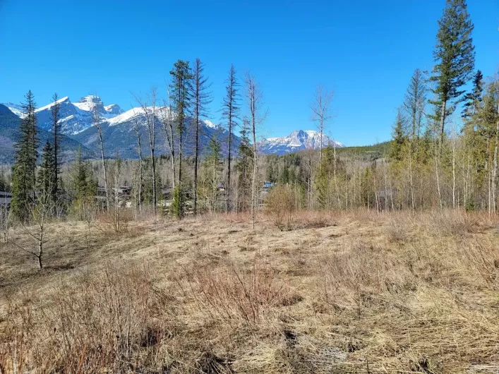Proposed - Lot 90 MONTANE PARKWAY, Fernie