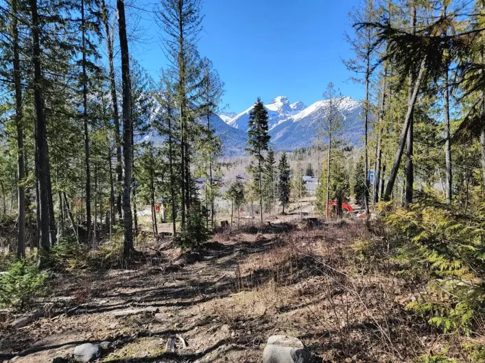 Proposed - Lot 91 MONTANE PARKWAY, Fernie