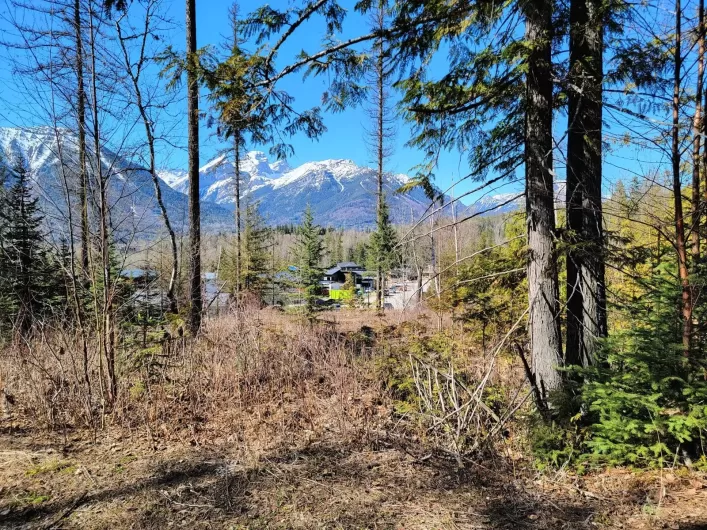 Proposed - Lot 92 MONTANE PARKWAY, Fernie